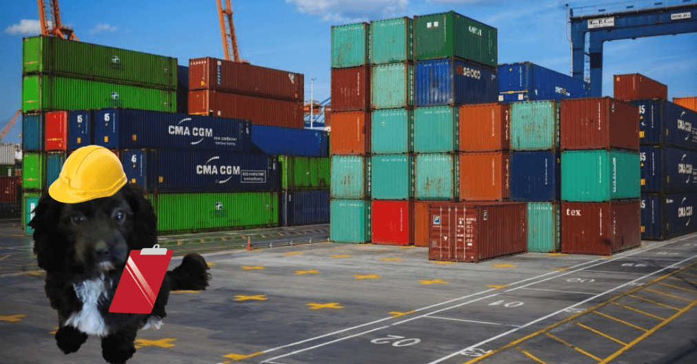 image of a dog at a port